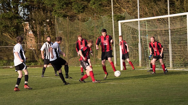 德国客战卢森堡：维尔茨、萨内、格纳布里、帕夫洛维奇首发