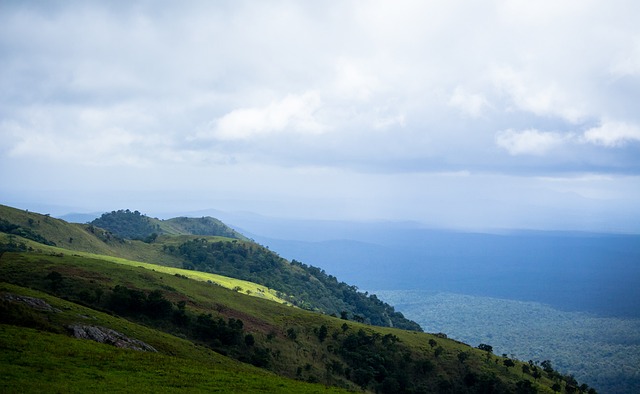 這句話揭示 這句話揭示