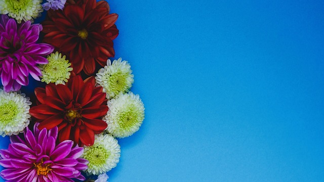 天赋并不足 天赋并不足