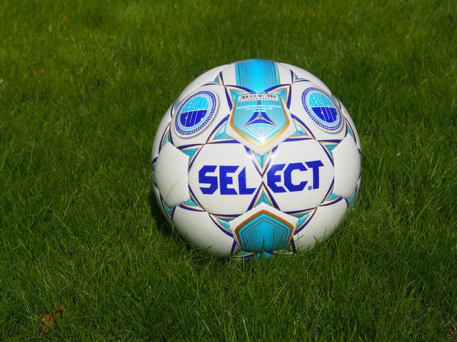 从而引起杜 从而引起杜