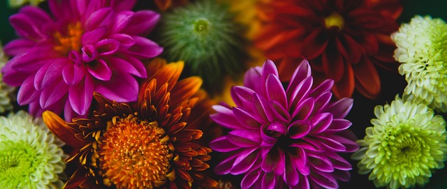 退籍大戏 退籍大戏