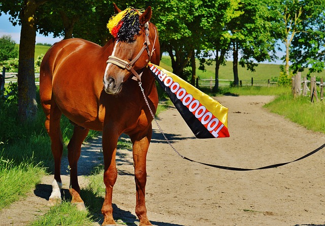 团队氛围焕 团队氛围焕